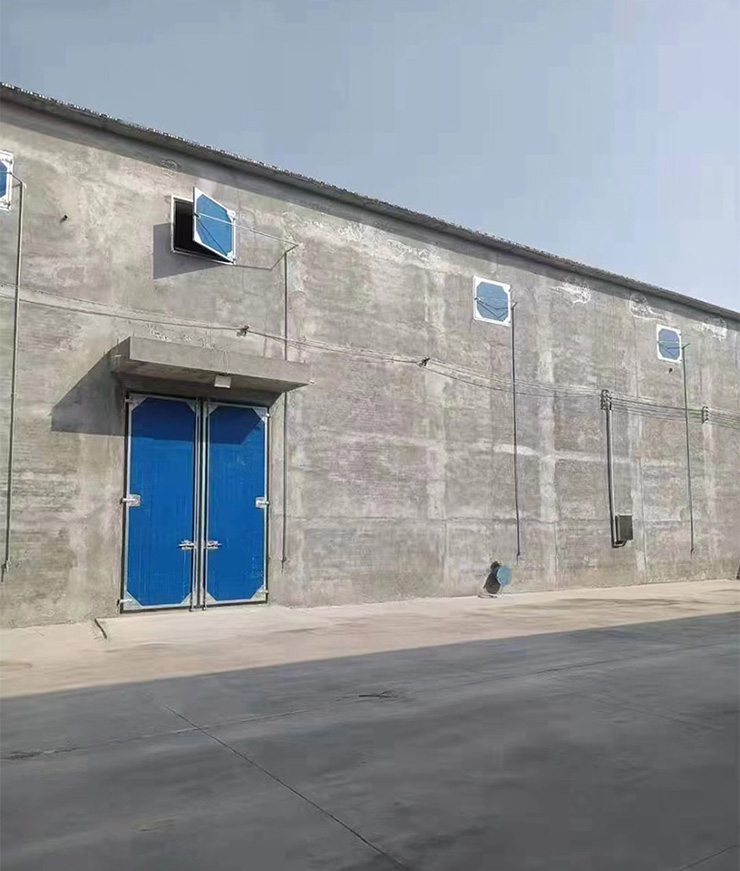 ���I�T(�����T)